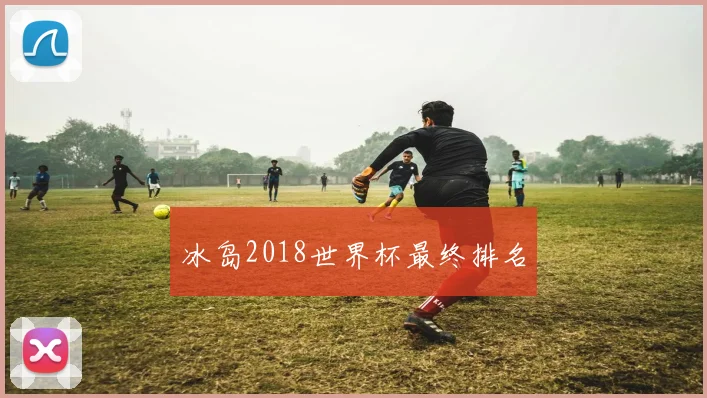 冰岛2018世界杯最终排名