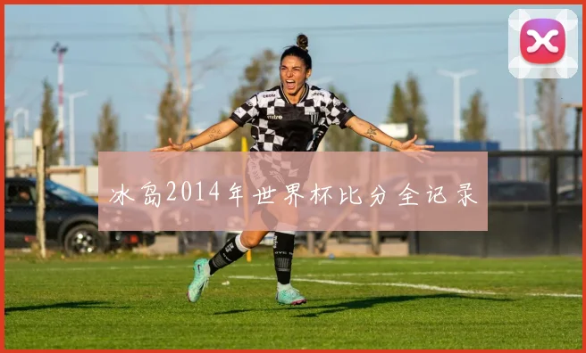 冰岛2014年世界杯比分全记录