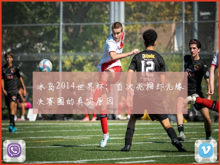冰岛2014世界杯:首次亮相却无缘决赛圈的真实原因