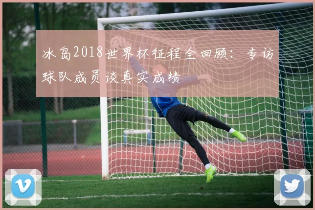 冰岛2018世界杯征程全回顾：专访球队成员谈真实成绩