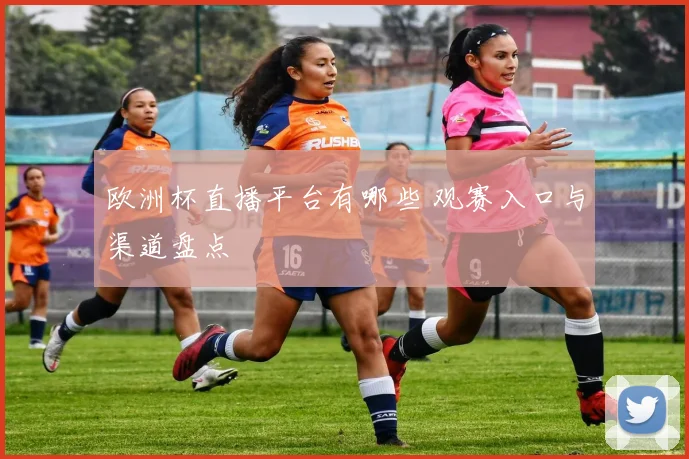 欧洲杯直播平台有哪些 观赛入口与渠道盘点