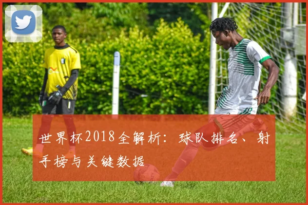 世界杯2018全解析:球队排名、射手榜与关键数据