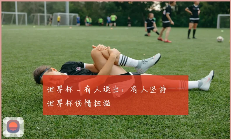 世界杯 _ 有人退出,有人坚持——世界杯伤情扫描