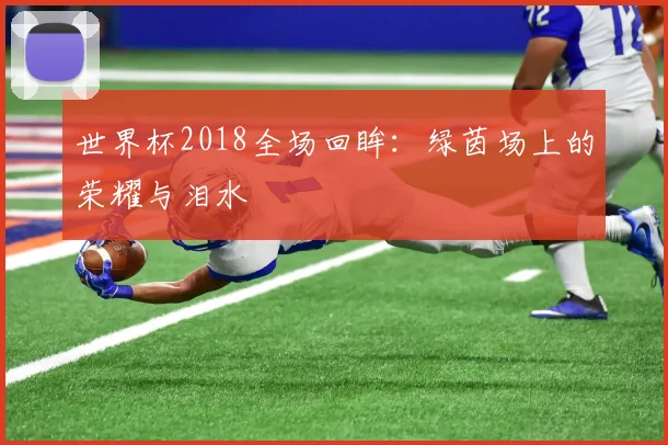 世界杯2018全场回眸：绿茵场上的荣耀与泪水