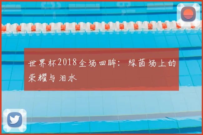 世界杯2018全场回眸：绿茵场上的荣耀与泪水