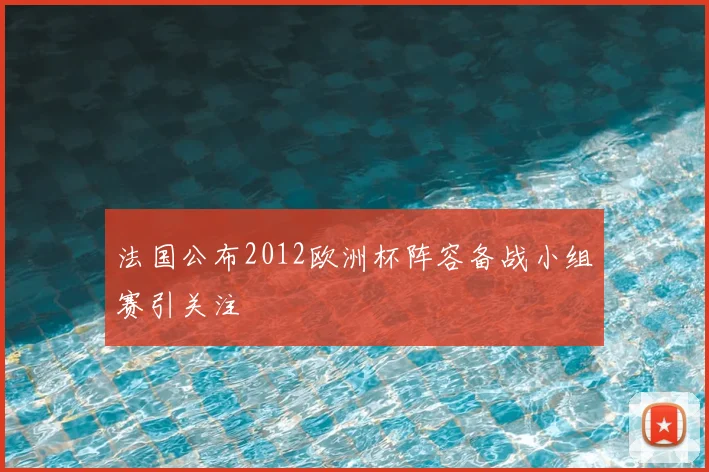法国公布2012欧洲杯阵容备战小组赛引关注