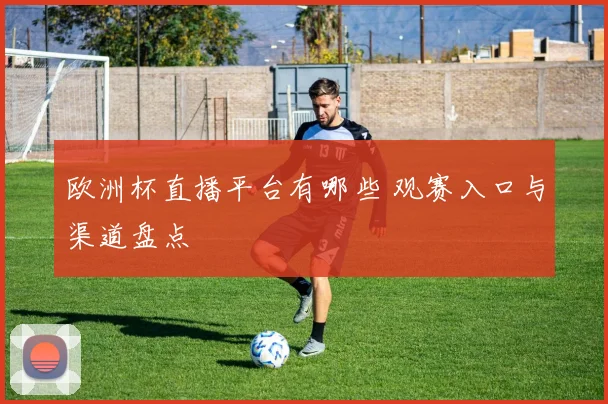 欧洲杯直播平台有哪些 观赛入口与渠道盘点