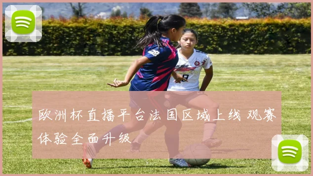 欧洲杯直播平台法国区域上线 观赛体验全面升级