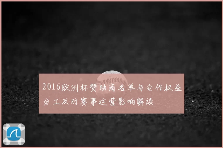 2016欧洲杯赞助商名单与合作权益分工及对赛事运营影响解读