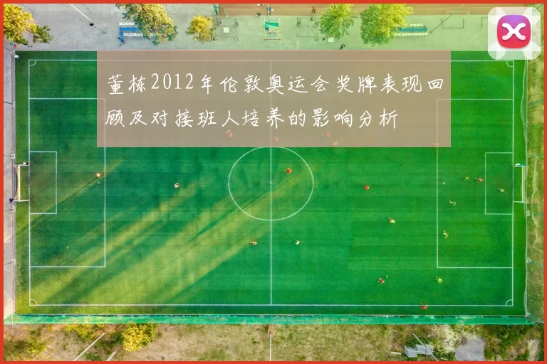 董栋2012年伦敦奥运会奖牌表现回顾及对接班人培养的影响分析