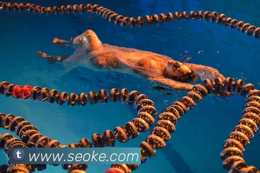 开云(中国)Kaiyun·官方网站APP 体育赛事宣传图